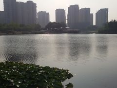 -新江湾城公园