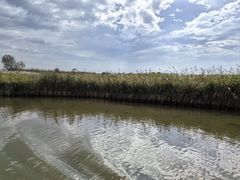 -宁波杭州湾国家湿地公园