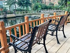 -南宫五洲植物乐园