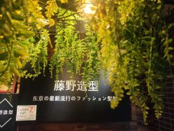 点击看大图 -藤野造型