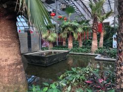 点击看大图 宴会厅-颐和尚景酒店·宴会厅(园林生态酒店)