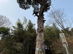 -终南山古楼观历史文化景区