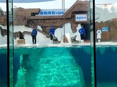 -秦皇岛乐岛海洋王国