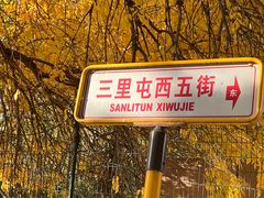 -三里屯东五街银杏大道