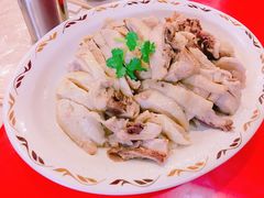 -企鹅岛