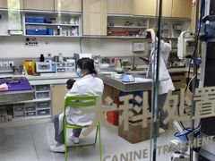 -谐和益家动物医院·免疫绝育·血液透析·宠保定点医院(高新伊藤分院)