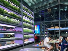 用餐区-蔡澜PHO(海岸城店)