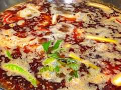-蜀滋香鲜鱼美蛙火锅(339店)