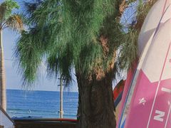 -西涌国际滨海旅游区