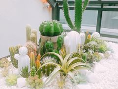 -大树餐厅(红旗街万达店)