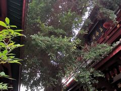 -叩齿古寺