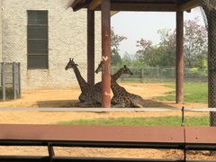 -石家庄市动物园