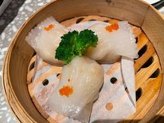 -金香匯晚茶(浑南店)