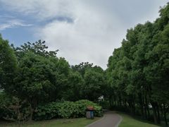 -美兰湖景区