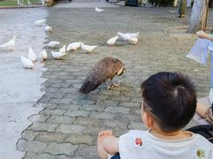 -J Create城市露营咖啡·简餐·宠物(上海动物园店)