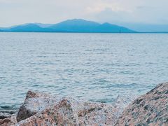 -深圳湾公园(南山区)