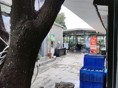 -蘇河湾·新鲁菜·泰山宴(泰山店)