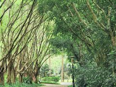 -深圳国际园林花卉博览园