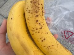 -巷子宽·酸菜鱼(迪士尼小镇店)