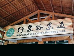 -野象谷景区