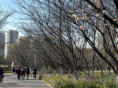 -白塘生态植物园