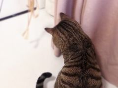 -御宝贝24h宠物医院·转诊中心·CT核磁血透中心(厦门总院)