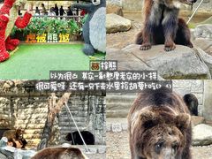 -灵玲国际马戏城