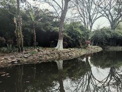 -八大山人梅湖景区