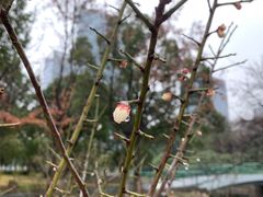 -白塘生态植物园