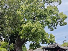 -口岸雕花楼