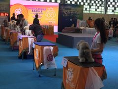 -东浩兰生上海世博展览馆