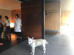 -微热山丘(台北民生公园门市店)