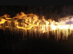 -怀托摩萤火虫洞