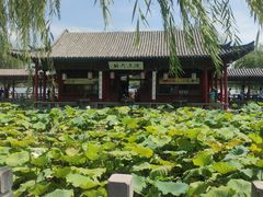 -济南大明湖景区