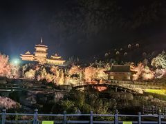 -禅宗少林·音乐大典