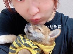 -逗柴咖啡屋·狗咖猫咖宠物桌游