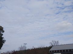 -嘉北郊野公园