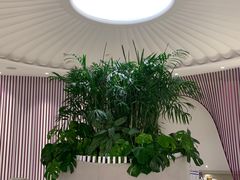 -LANN I 蘭 SPA(陆家嘴中心店)