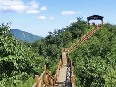 -大岭沟猕猴桃谷风景区