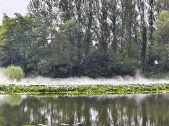 -沈阳植物园
