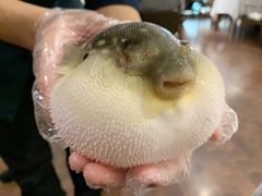 -肆月河豚·新淮扬(金融街店)