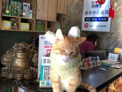 -美联众合动物医院(唯恩分院)