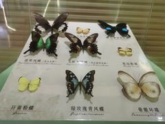 -蝴蝶泉公园