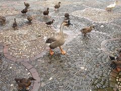 -洛阳市隋唐城遗址植物园