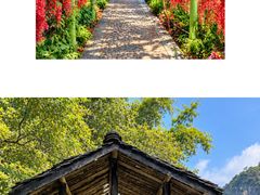 -荔江湾景区