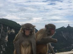 -重庆云阳龙缸景区