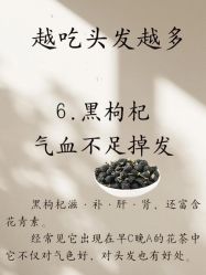 -克丽缇娜
