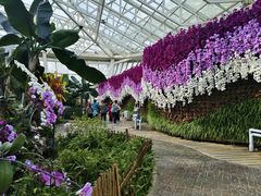 -石家庄市植物园