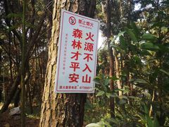 -铁山坪森林公园