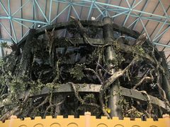 -泉城欧乐堡梦幻世界